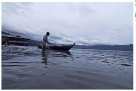 Pencemaran dan Penangkapan Berlebihan, 20 Spesies Ikan Danau Maninjau Punah 